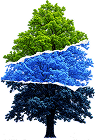 Sustain
